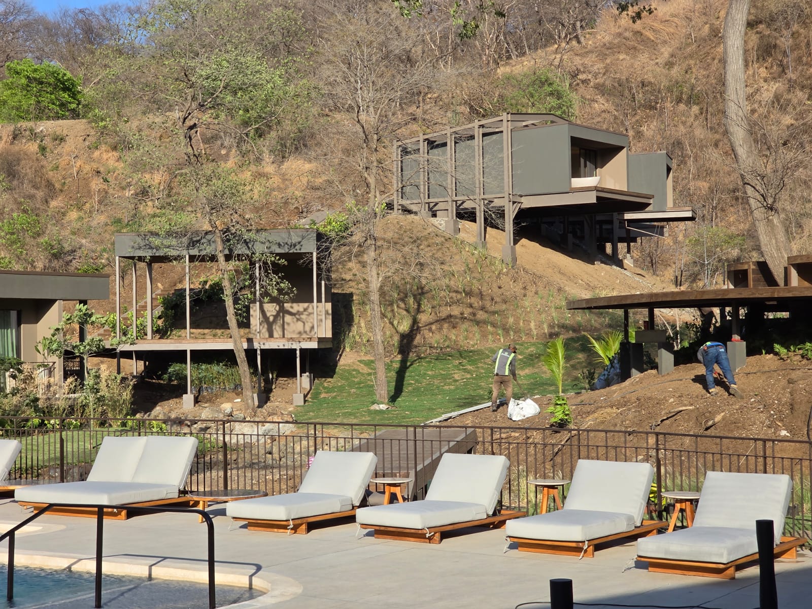 Tree Houses Waldof Astoria